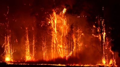 Multiple emergency bushfires are raging across NSW.