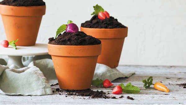 Vegetable garden pot cupcakes. Image: Sweet! Celebrations by Elise Strachan (Murdoch Books)