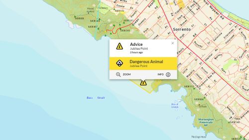 Swimmers have been warned of an increase of sharks in the area. (Emergencies Victoria)