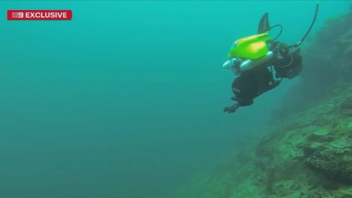 SA toxic algal bloom