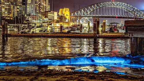 Bioluminescence lit up the waters of Sydney Harbour this week.