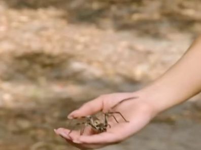 A shot of Sydney Sweeney holding a huntsman spider in Anyone But You.