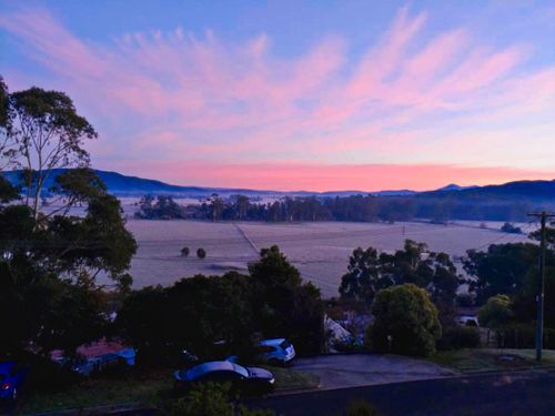 Yarra Valley frost this morning. (Henk Wolthuizen)