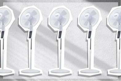 9PR: Goldair pedestal fan