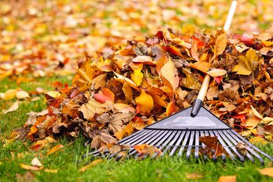 Raking leaves in autumn