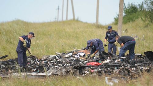 MH17 victims' remains 'may never be fully recovered'