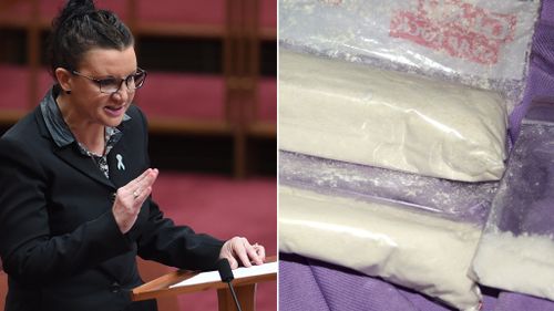 Ms Lambie exposed her son's drug use in a speech to Parliament. (9NEWS)