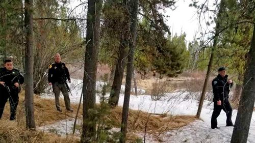 Officers from the sheriff's office and West Yellowstone Police Department are seen near the scene of a grizzly bear mauling just outside Yellowstone National Park.