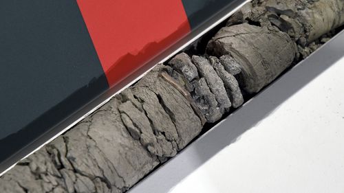 Part of a fossilized vertebrae from a herbivorous dinosaur found deep under the parking lot of the Denver Museum of Nature & Science is displayed at the museum on July 9, 2025.