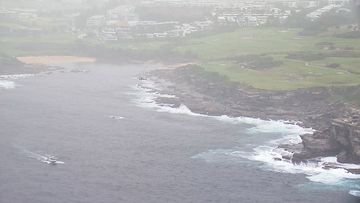 Two bodies have been found near Little Bay Beach in Sydney&#x27;s south.