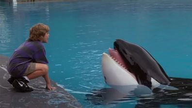 Scene from Free Willy (1993)