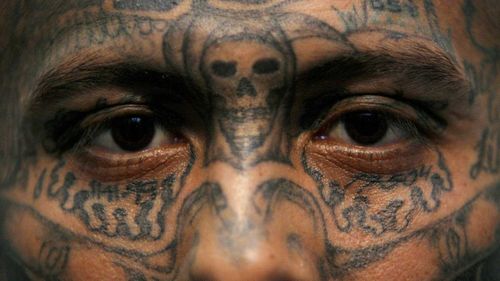 US immigration to target teen gang members