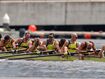 Probe launched after 36-year Aussie rowing low