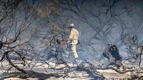 A firefighter walking through the charred remains of Cheltenham Park. (Image: AAP)