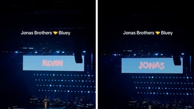 Jonas brothers bluey