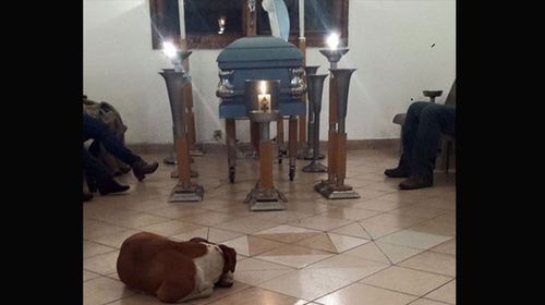 Dogs mourn woman who dedicated life to helping animals