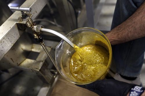 The oil is expensive because of the process it takes extract the CBD from the cannabis plant. AP Photo/Don Ryan