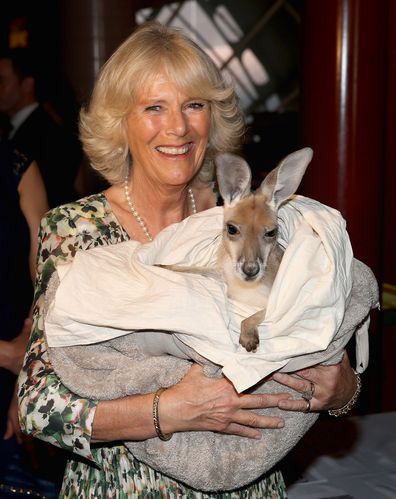 Camilla Duchess of Cornwall makes generous cash donation to Australian bushfires victims