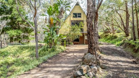 shock million dollar find perth bushland domain 