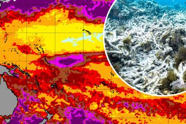 Coral bleaching map and the Great Barrier Reef.