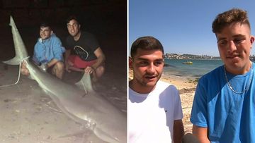 Sydney Harbour bull shark catch teenage fishermen