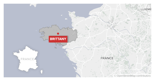 Girl, 11, shot dead in France during 'neighbourly dispute'