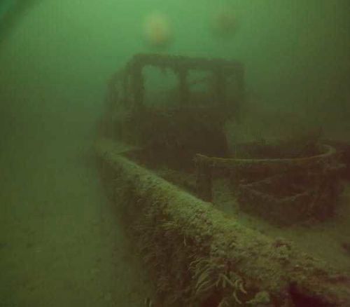 Usually teeming with life, the eerie scene was like an underwater graveyard, Tozer said.