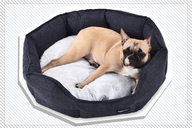 9PR: Amazon Basics Cuddler Pet Bed - Soft and Comforting - Large, Grey