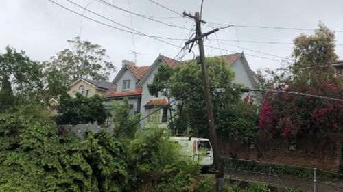 Repairing damaged power lines are a big part of the clean up operation.