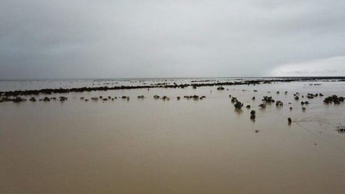 North Queensland flood weather government funding