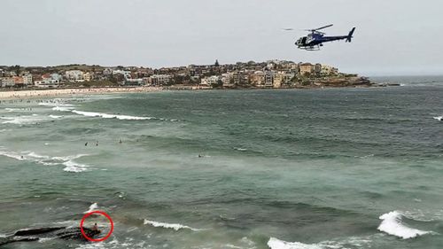 The man had to be escorted from the water after allegations of sexually inappropriate behaviour.