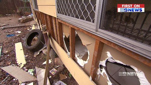 Hendrik believes the damage happened in as little as 24hrs. Image: 9News