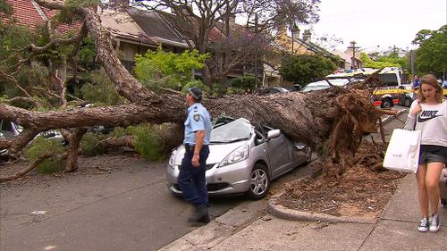 Wild winds kept emergency services busy across Sydney. Several cars were crushed in Paddington by downed trees. (9NEWS)