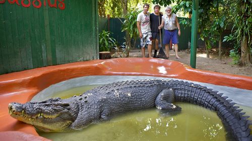 Cassius was officially declared the "Worlds Largest Crocodile in Captivity" by the Guinness Book of Records on Thursday, Sept. 15, 2011, measuring 5.48 metres and weighs close to a tonne. (AAP)
