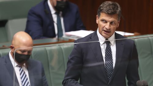 Minister for Industry, Energy and Emissions Reduction Angus Taylor during Question Time at Parliament House.