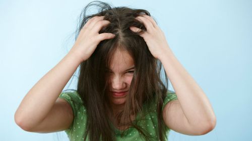 Hybrid headlice immune to treatments, US study reveals 