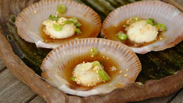 Steamed scallops with green onion and ginger