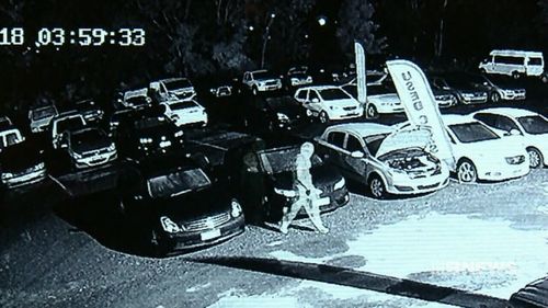 A group of thieves were caught on CCTV cameras ransacking a Yerongpilly car yard over the weekend (Supplied).