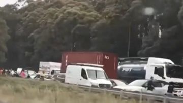 13 car crash on M1 Pacific Motorway at Ourimbah in NSW