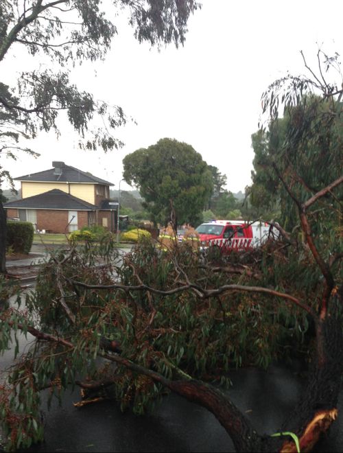 A clean-up underway to remove the debris. (Ryan Kuff)