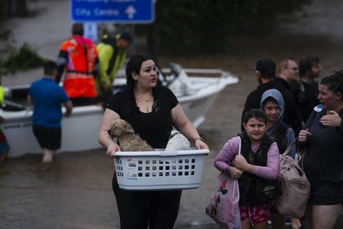 A Lismore woman walks through floodwaters with two dogs in a washing basket.