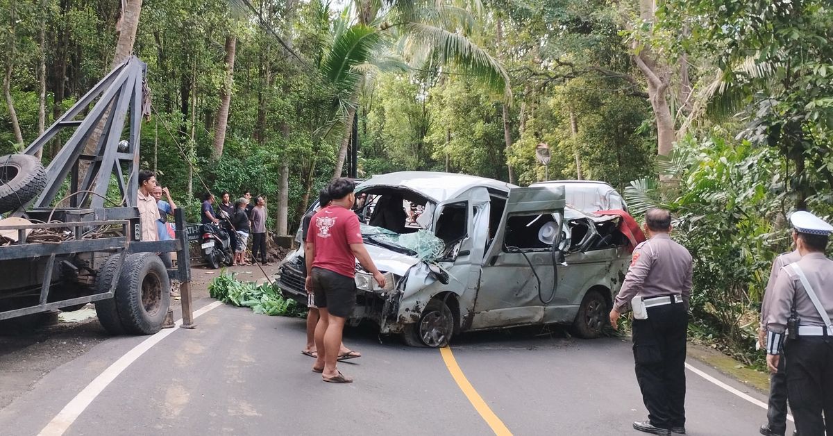 Five tourists killed in Bali minibus crash