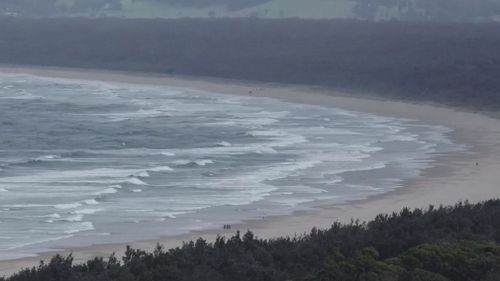 Seven Mile Beach at Gerroa, south of Wollongong in NSW, has been closed after a man was attacked by a shark.