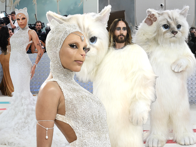 Cat costumes at the 2023 Met Gala