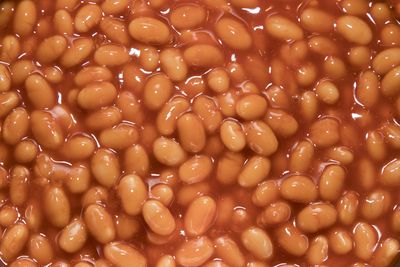 420g can of baked beans