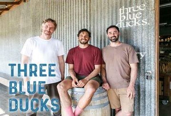 Three Blue Ducks
