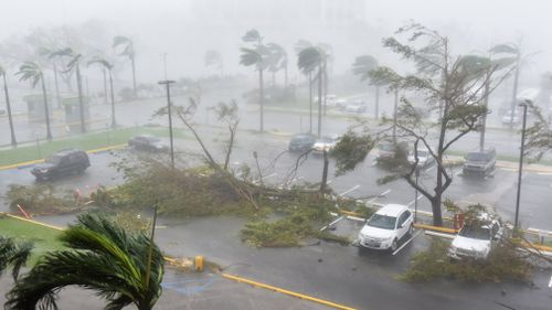 Trees are toppled in a parking lot at Roberto Clemente Coliseum in San Juan, Puerto Rico. (AFP)