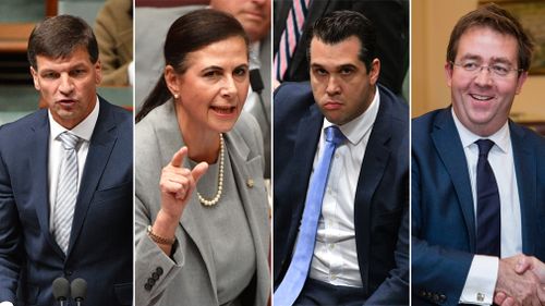 Angus Taylor, Concetta Fierravanti-Wells, Michael Sukkar, James McGrath sought to quit their roles and follow Mr Dutton to the back bench after Mr Turnbull clung on to his prime ministership.