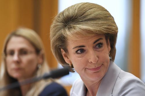 Cash speaks during Senate Estimates at Parliament House in Canberra today. (AAP)