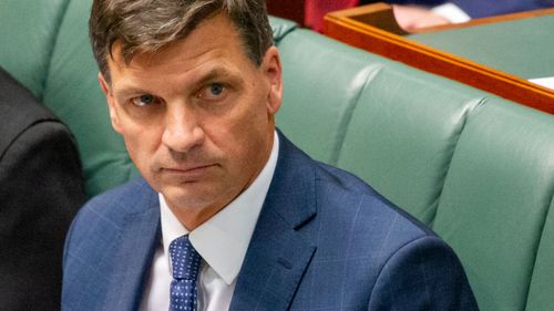 Angus Taylor